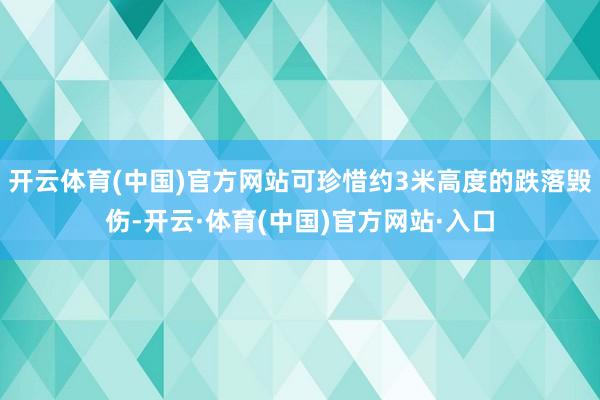 开云体育(中国)官方网站可珍惜约3米高度的跌落毁伤-开云·体育(中国)官方网站·入口