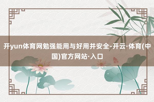 开yun体育网勉强能用与好用并安全-开云·体育(中国)官方网站·入口