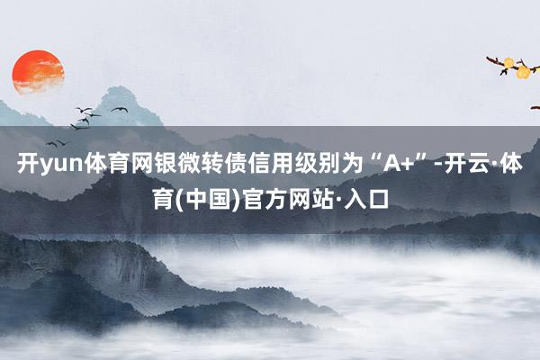开yun体育网银微转债信用级别为“A+”-开云·体育(中国)官方网站·入口